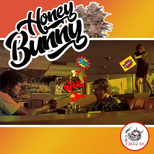 Honey Bunny