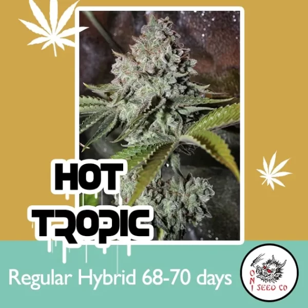 Hot Tropic