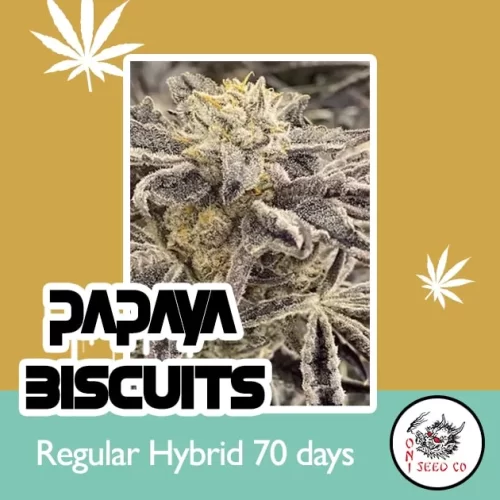 Papaya Biscuits