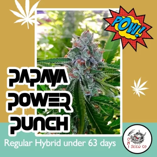 Peach Power Punch