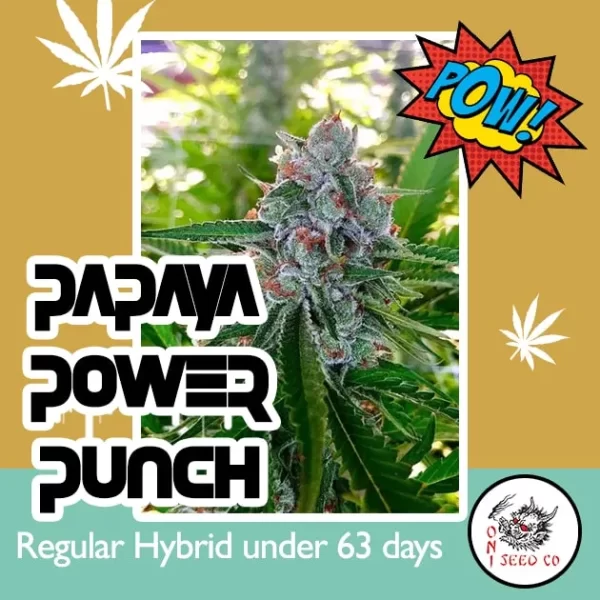 Peach Power Punch