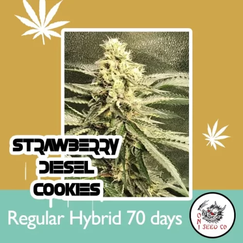 Strawberry Diesel Cookies