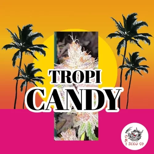Tropicandy