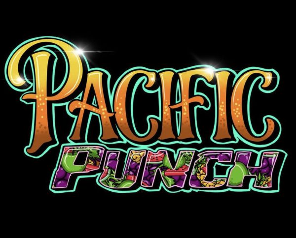 Kauai Punch - Image 2